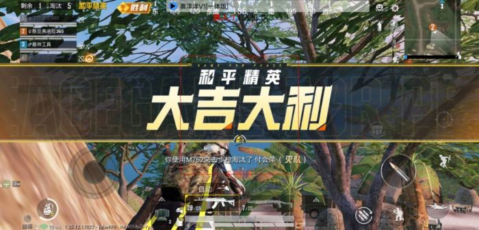 和平精英美化包下载免费版 - 高画质无干扰画面提升包